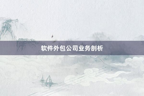 软件外包公司业务剖析