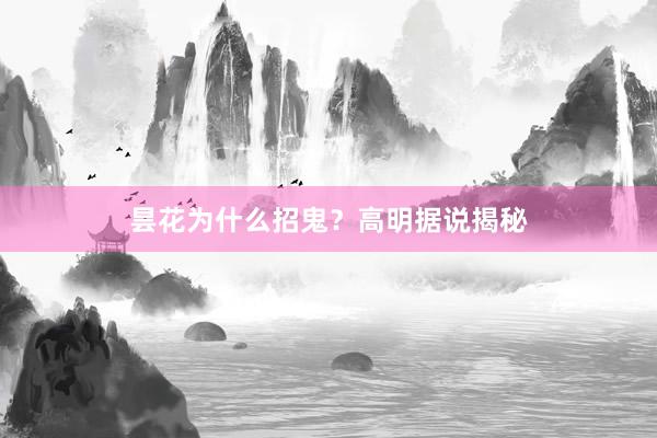 昙花为什么招鬼？高明据说揭秘